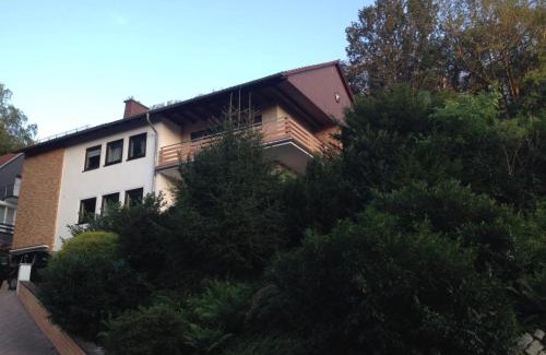 Bad Lauterberg Apartment | Bergoase