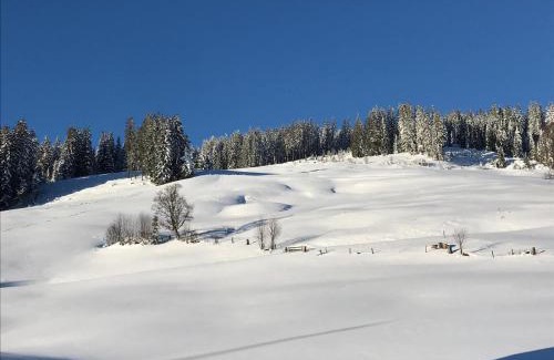 Brixen im Thale House | Bergpension Zinting