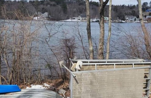 Lochmere Cottage | Berry Family Cottage - Green