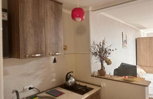 Borjomi Apartment | Beso-house