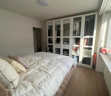 Gundeldingen Apartment | Best located & fully equipped apartment at Basel SBB main station