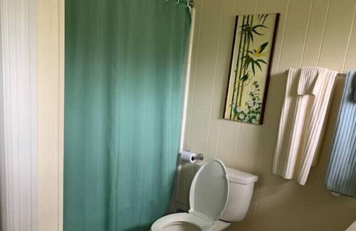 Saint Andrews House | Best location on the Mountain! 3-bedroom house on campus