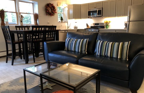 Provincetown Condo | Best Patio on Commercial-Tropical Garden-Prime Location