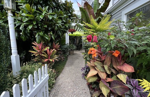 Provincetown Condo | Best Patio on Commercial-Tropical Garden-Prime Location