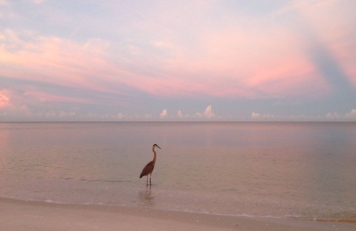 Park Shore Condo | Best Vacation Spot in Naples, Florida