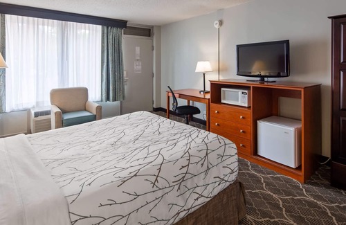 Fredericksburg Hotel | Best Western Fredericksburg