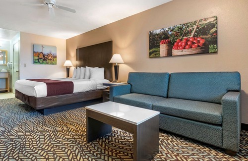 Turlock Hotel | Best Western Orchard Inn