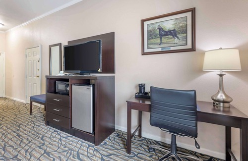 Spring Hill Hotel | Best Western Spring Hill Inn & Suites