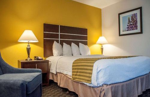 Raisin Hotel | Best Western Village Inn