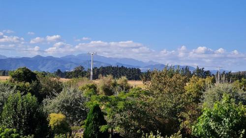 Martinborough House | Bidwills Gem