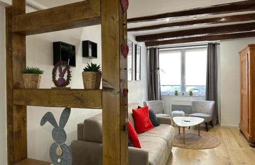Obernai Apartment | Bienvenue au Cœur d Alsace-centre Obernai -3 étoiles -