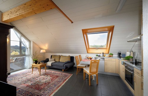 Schienen Apartment | Big Apartment “Vestner” Near Lake Constance with Wi-Fi, Balcony, Terrace & Garden