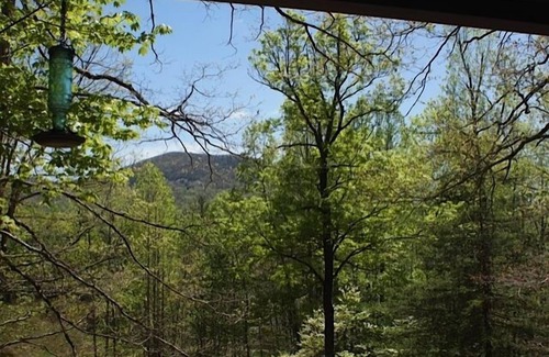 Hendersonville Cabin | Bikers paradise! Adjacent to Dupont State Park and REEB!