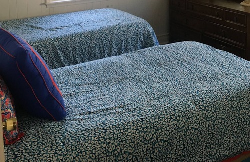 Buckroe Beach House | Bikini Bottom, 2 blocks from the bay. Family cottage, couples hideaway
