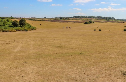 New Forest District Cottage | BILLABONG, romantic, character holiday cottage in Ringwood
