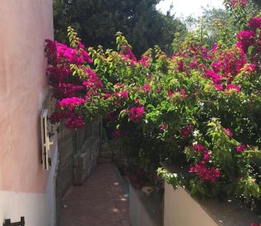 La Maddalena Apartment | Bilocale con spazio esterno