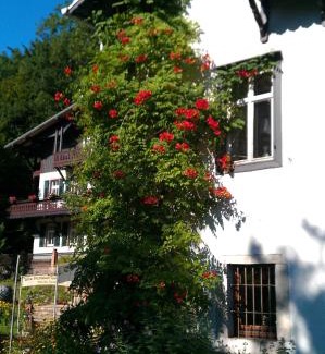 Moritzburg House | Bilz-Pension