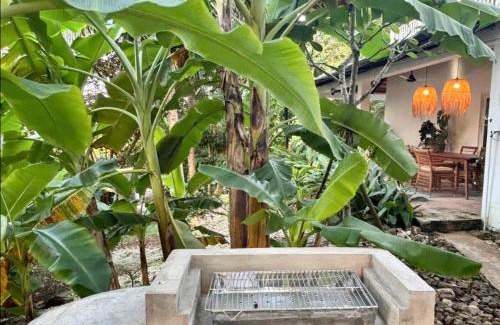 Duong Dong Villa | Binh An Villa - Central, Sea, Mountain View, Beach, Shops and Dinings