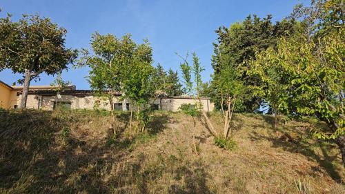 Falerone Bed & Breakfast | Bio at Us