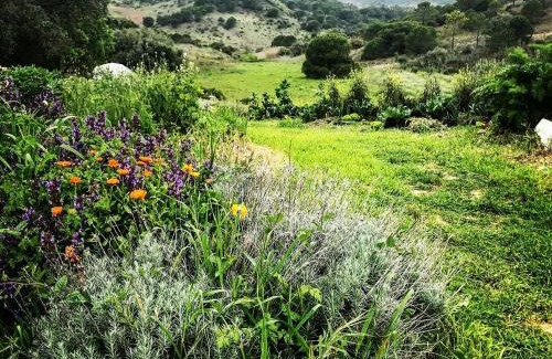 Setubal Cabin | Biovilla Sustentabilidade