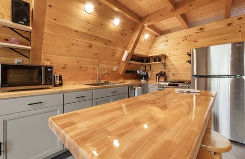Pittsburg Apartment | Birch Haven Tree House