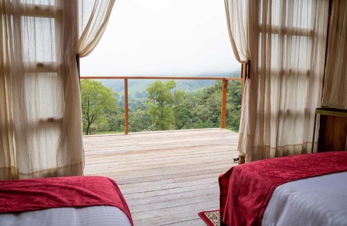 Salento Other | Birdglamping Los Arboles Glamping Hotel