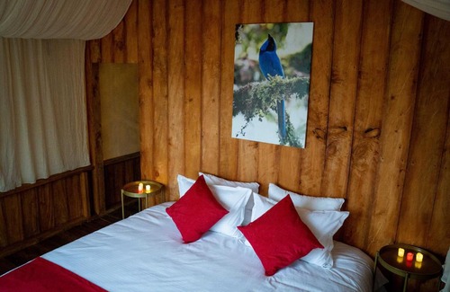 Salento Other | Birdglamping Los Arboles Glamping Hotel