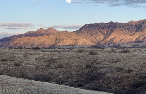 Nogales House | Birdsong: Casita and Cottage + Yoga/Bonus Room