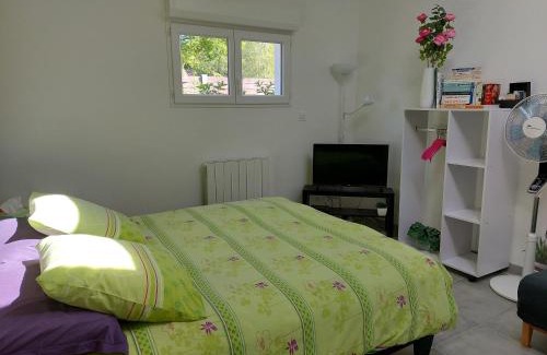 Biscarrosse Apartment | Biscarrosse Bourg - Chez Perli