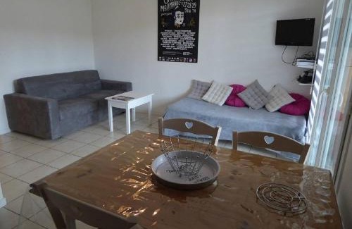 Biscarrosse Plage Apartment | Biscarrosse Plage Charmant T2 5 couchages classé 2 étoiles