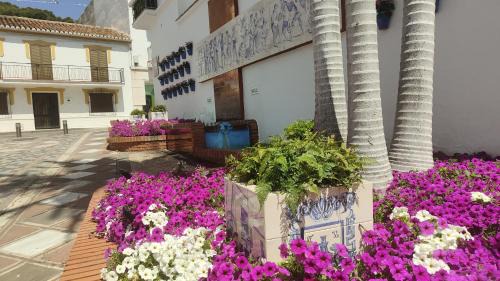 Benalmadena Apartment | Biznaga seaviews
