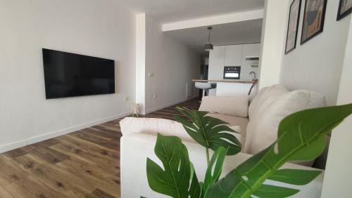 Benalmadena Apartment | Biznaga seaviews