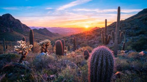 Black Canyon City Other | Black Canyon Campground And Cabins