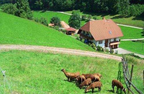 Hofstetten Apartment | Black Forest farmhouse in charming location