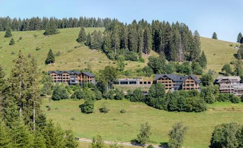 Feldberg Apartment | Black Forest Lodge