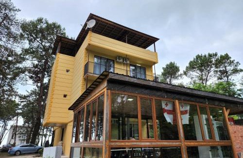 Shekhvetili House | Black Sea House Georgia