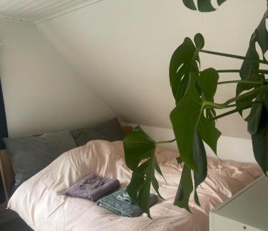 Aeroskobing Bed & Breakfast | BlackberryHouse