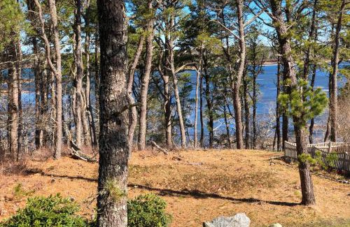 Wellfleet House | Blackfish Bungalow