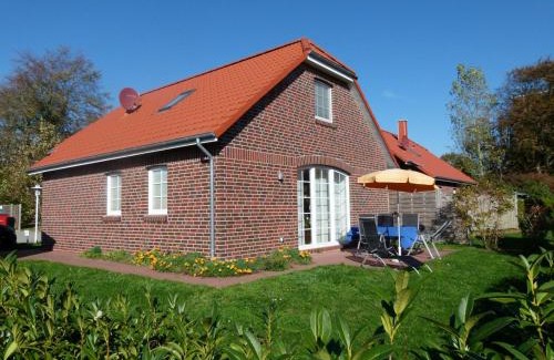 Norden House | Blaue Möwe