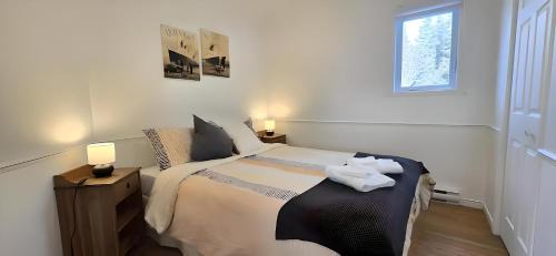 Petite-Riviere-Saint-Francois Ski Chalet | Bleuzen chalet entier