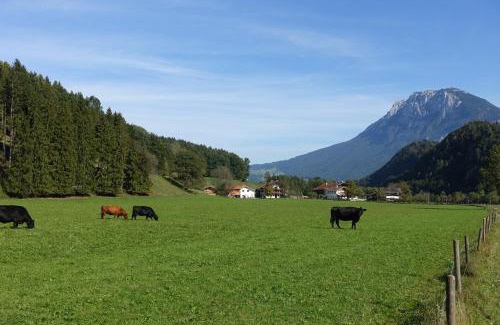 Kiefersfelden Apartment | Bleierhof