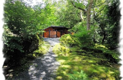 Elterwater Cabin | Blelham Tarn (Rustic yet modern cabin in tranquil woodland with own EV charger)