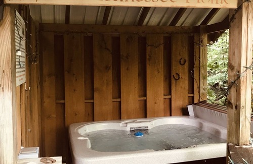 Townsend Cabin | Blessed Nest: Free Attraction Ticket, Hot Tub, Pool Access, & Mountain Views