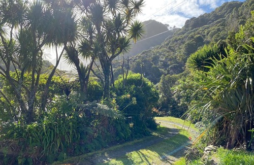 Barrytown House | Blue Bach Motukiekie