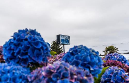 Brookings Hotel | Blue Coast Inn & Suites