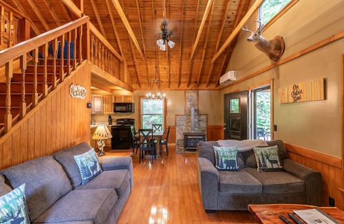 Lenoir Cabin | Blue Flower Cabin - 10 acres, private, hot tub, fire pit