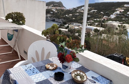 Ponza Apartment | Blue Jellyfish Ponzamania