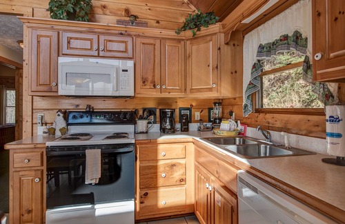 Black Bear Falls Cabin | Blue Mist View