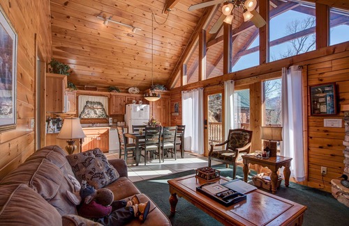 Black Bear Falls Cabin | Blue Mist View