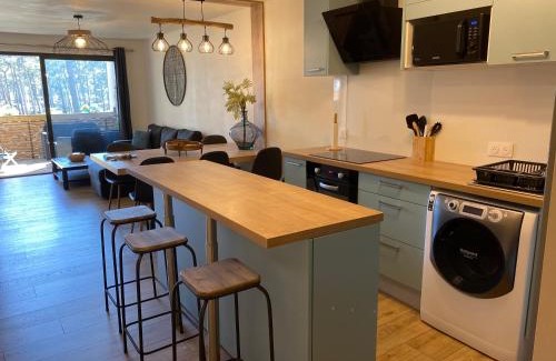 Biscarrosse Plage Apartment | Blue ocean